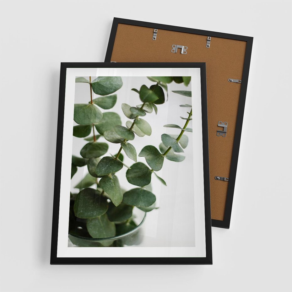 Plakat w ramie 50x70 - Zielone eukaliptusy - eukaliptus, liście - rama czarna