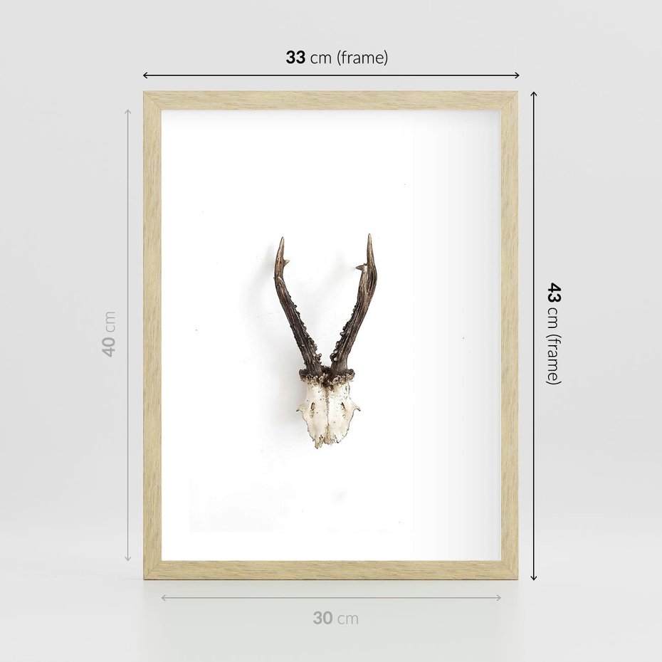 Plakat w ramie 30x40 - Minimalistyczne Poroże Jelenia - poroże jelenia na ścianie, minimalizm - rama drewno