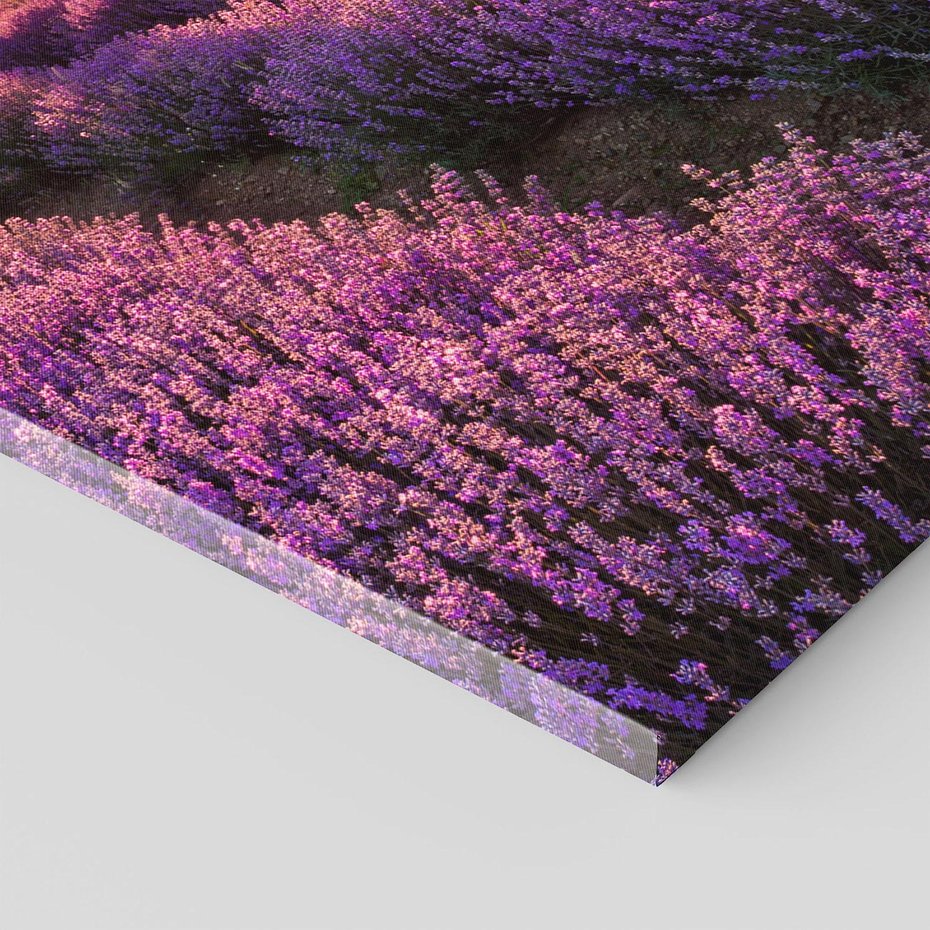 Obraz na płótnie 50x70 - Lawenda: Pachnący ogród natury - lawenda, kwiaty