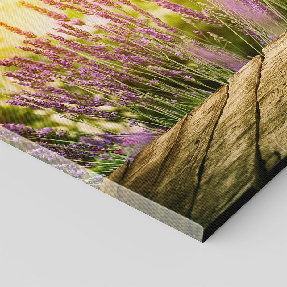 Obraz na płótnie 120x80 - Delikatność i Urok - lawenda, kwiat