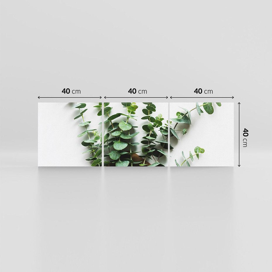 Obraz na płótnie 120x40 - Eukaliptusowa harmonia - eukaliptus, liście