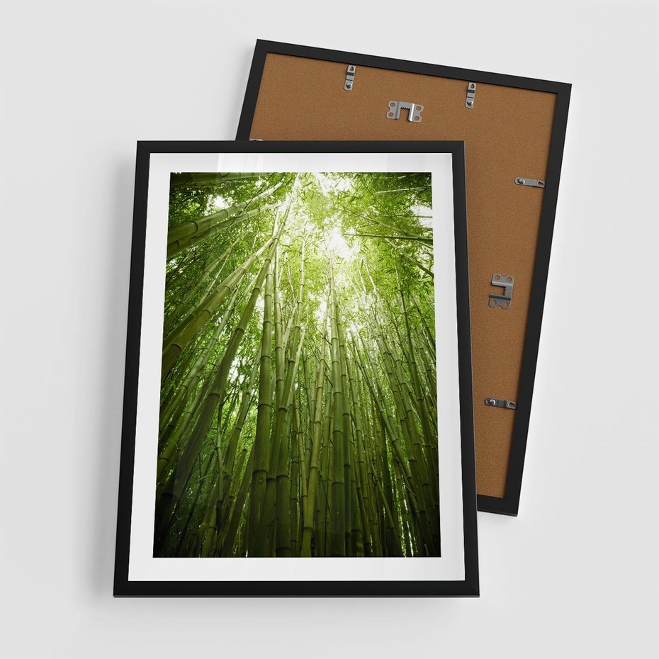 Plakat w ramie 50x70 - Siła Natury - drzewa, las - rama czarna