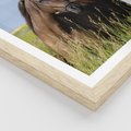 Plakat w ramie 50x70 - Siła i piękno natury - koń, łąka - rama drewno