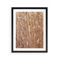 Plakat w ramie 40x50 - Mistrzowskie suche trawy - suche, trawy - rama czarna