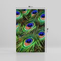 Obraz na płótnie 50x70 - Pawi Ogon - Piękno i Wspaniałość - paw, pióra