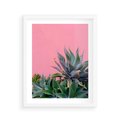 Plakat w ramie 40x50 - Tropikalne Liście na Różowej Ścianie - różowa ściana, tropikalne liście na jej tle - rama biała