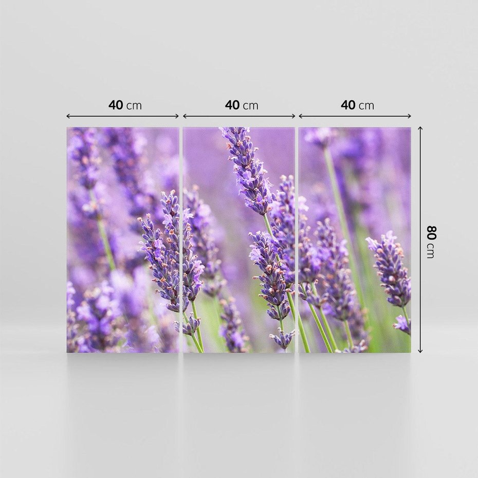 Obraz na płótnie 120x80 - Urok lawendy - lawenda, kwiaty