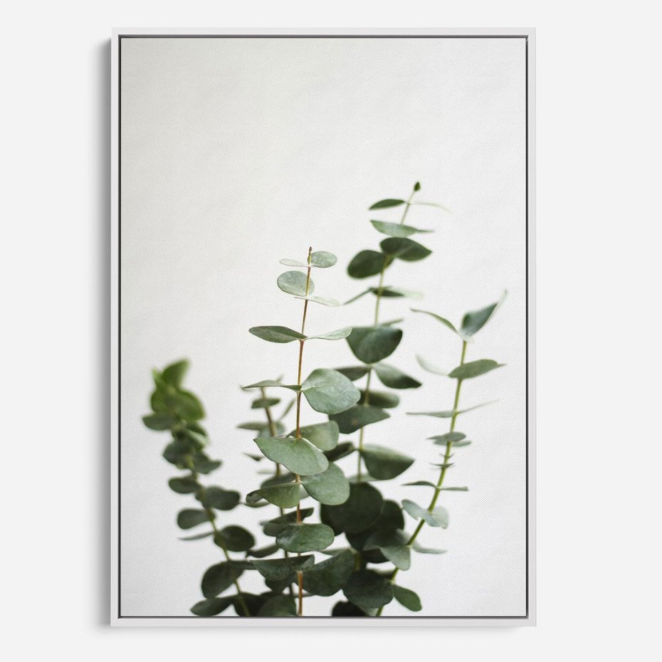 Obraz w ramie 80x120 - Żywa eukaliptusowa zieleń - eukaliptus, zielone - rama biała