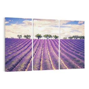 Obraz na płótnie 120x80 - Uroda Lawendy: Kwiatowy Cud Natury - lawenda, kwiaty