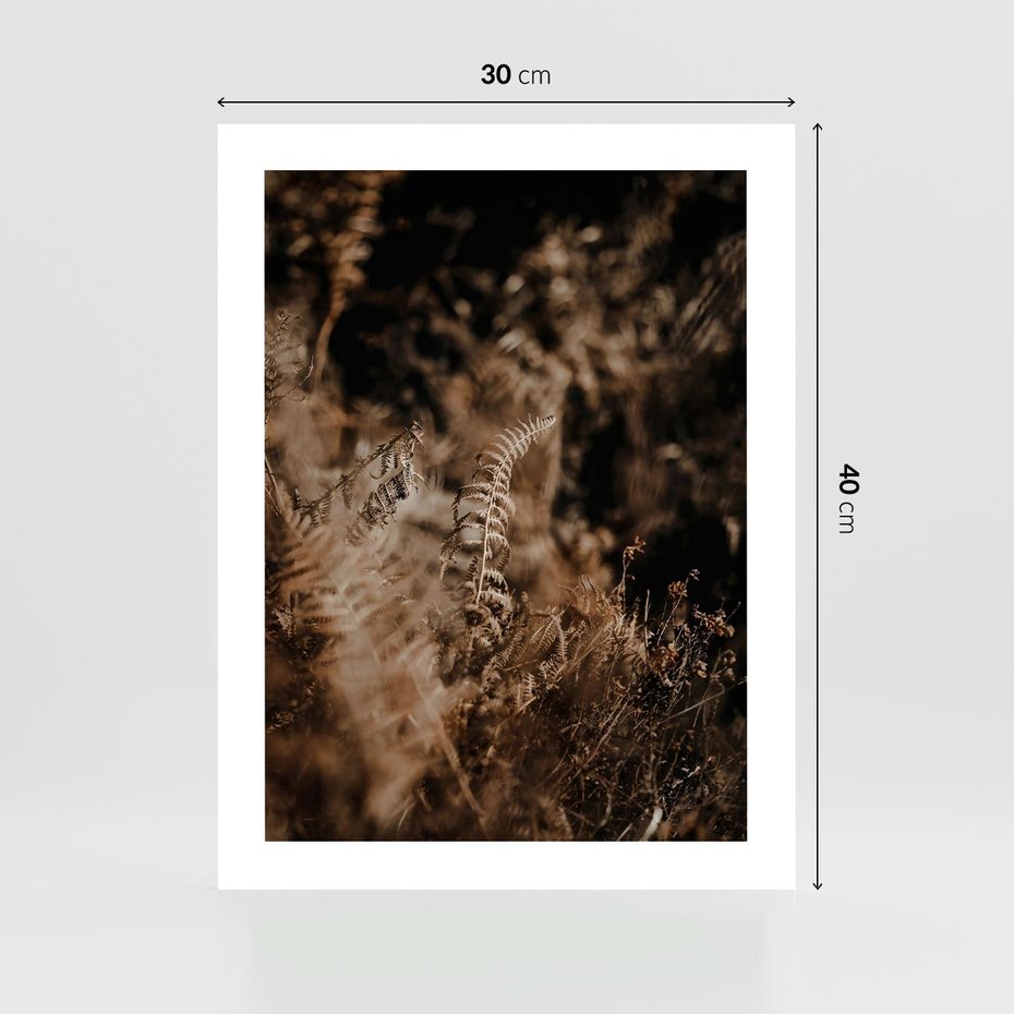 Plakat bez ramy 30x40 - Delikatne Detale - paprocie, brąz