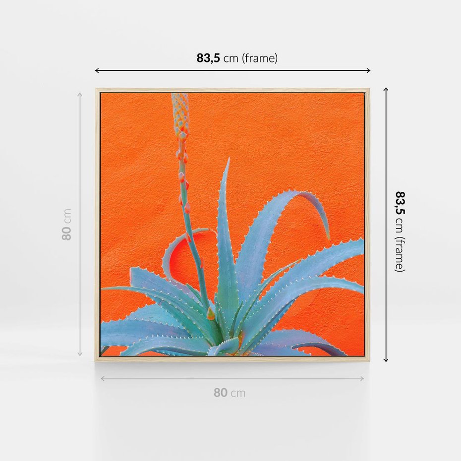 Obraz w ramie 80x80 - Naturalna Harmonia - kaktusy, liście - rama drewno