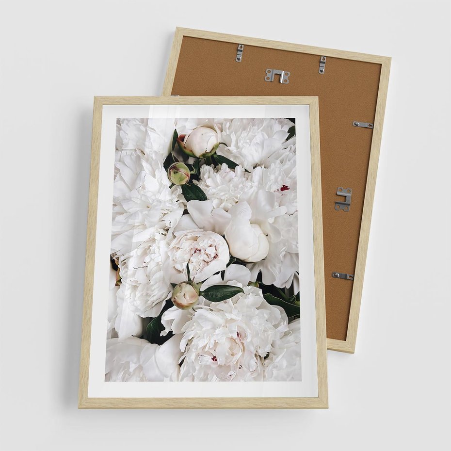 Plakat w ramie 50x70 - Modne Białe Kwiaty - białe kwiaty, płatki - rama drewno
