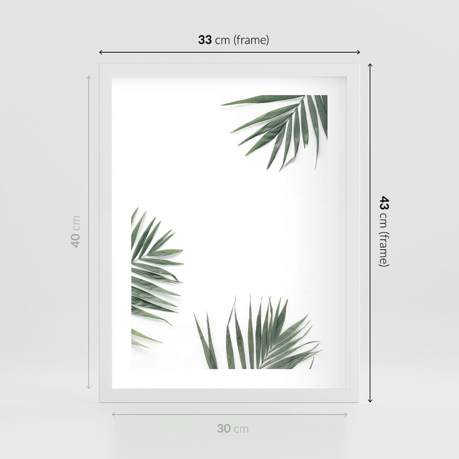 Plakat w ramie 30x40 - Liście Palmy na Czystym Tle - liście palmy, białe tło - rama biała