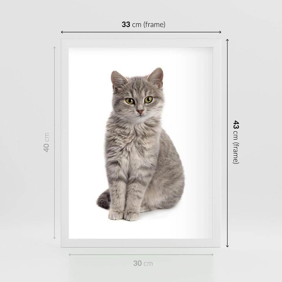 Plakat w ramie 30x40 - Kocie uroki na płótnie - kot, kotek - rama biała