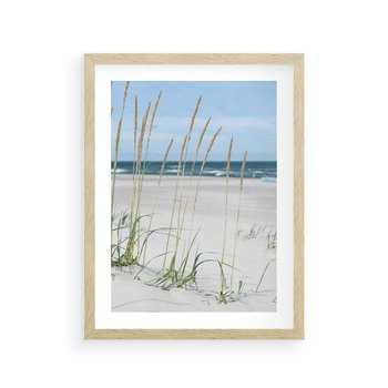 Plakat w ramie 30x40 - Przytulna Śródziemnomorska Trawa - plaża, trawy - rama drewno