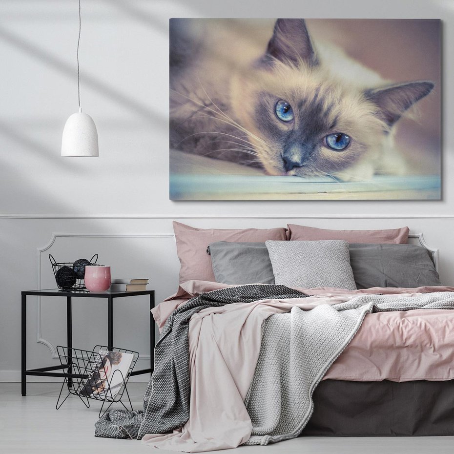 Obraz na płótnie 120x80 - Kotek w artystycznym stylu - kot, kotek