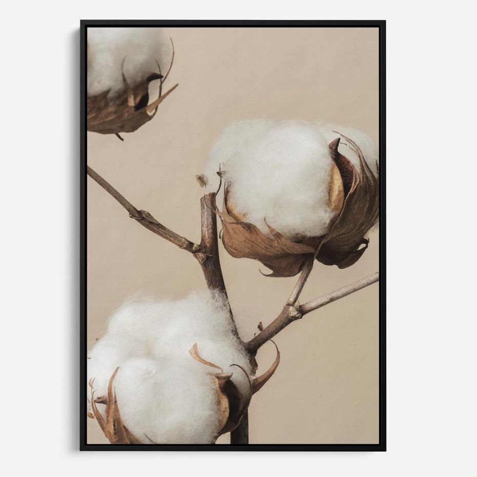 Obraz w ramie 50x70 - Bawełniana melancholia - bawełna, suche - rama czarna