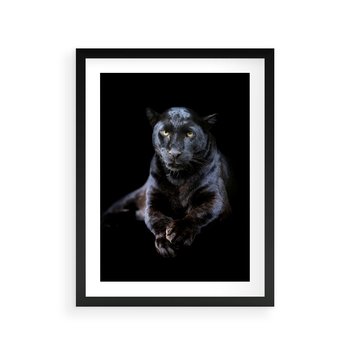 Plakat w ramie 30x40 - Czarna pantera: majestat i siła - czarna, pantera - rama czarna