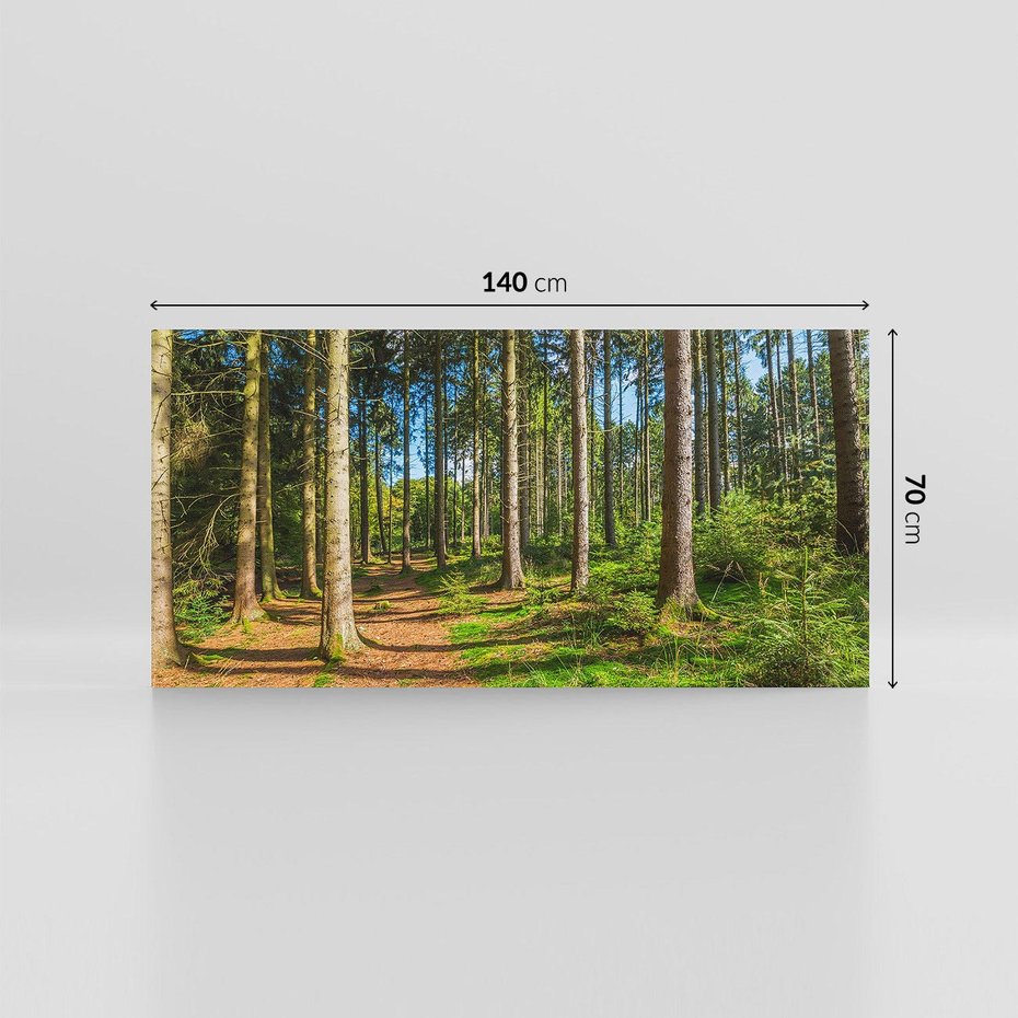 Obraz na płótnie 140x70 - Mistyfikacje lasu - las, drzewa