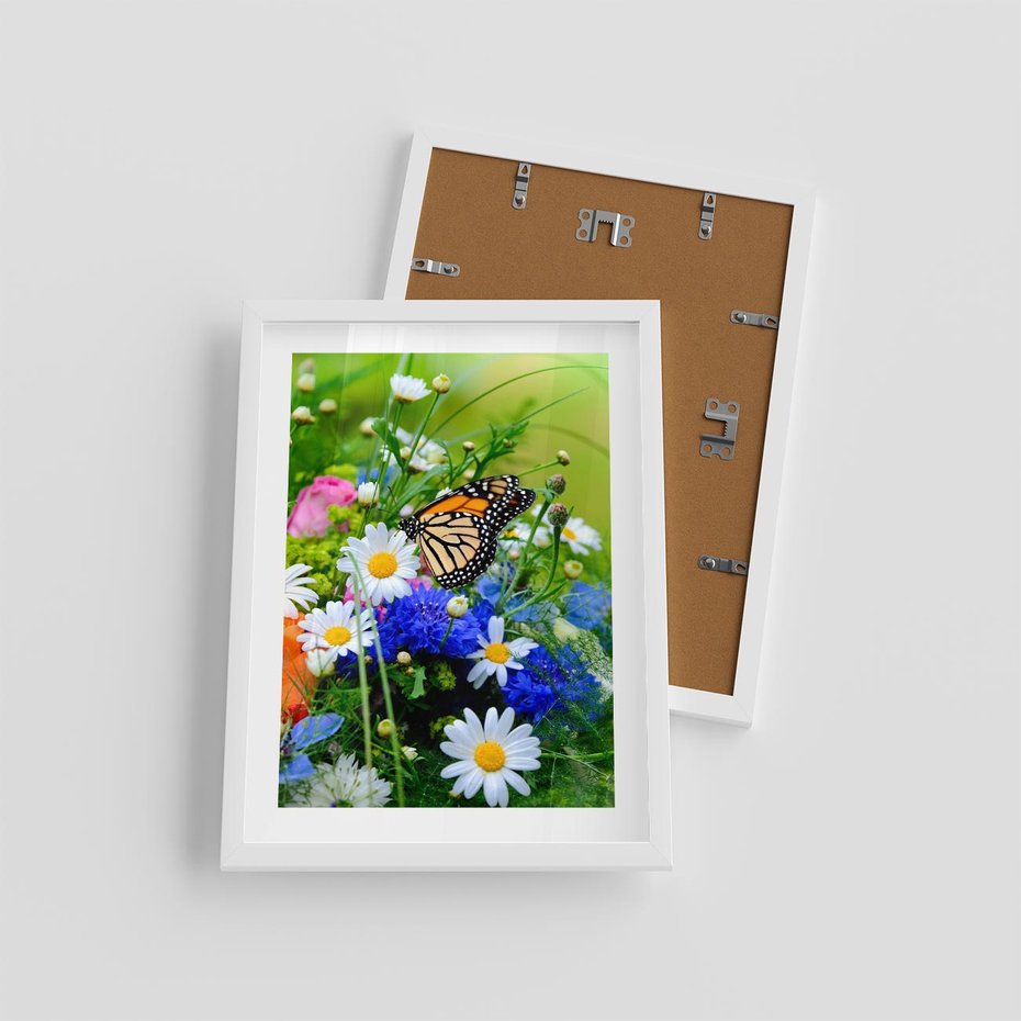 Plakat w ramie 30x40 - Kwiatowy Taniec - motyl, kwiaty - rama biała