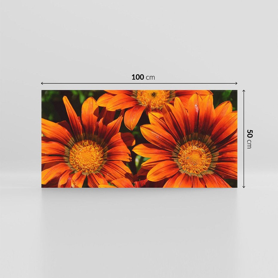 Obraz na płótnie 100x50 - Kwiatowa Esencja - kwiat, kwiaty