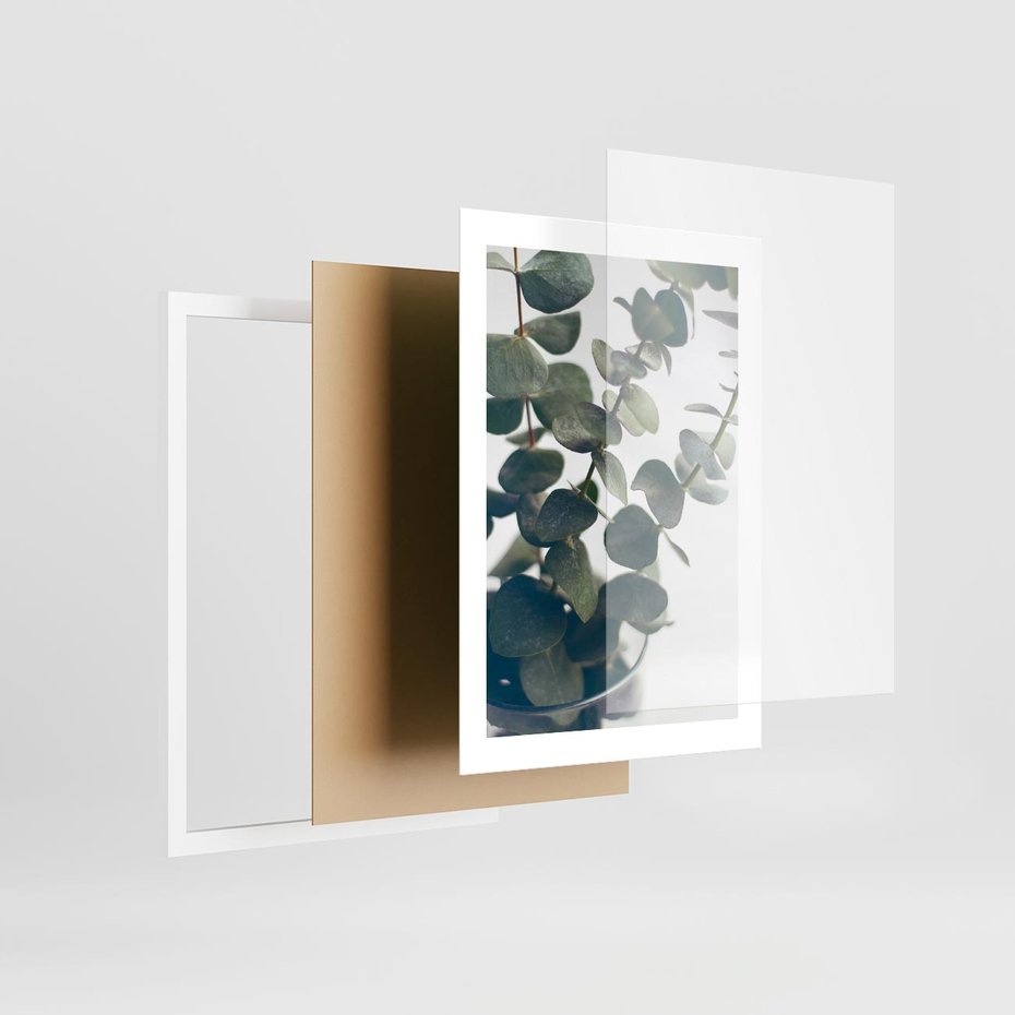 Plakat w ramie 30x40 - ukaliptusowa Harmonia - liście eukaliptusa - rama biała