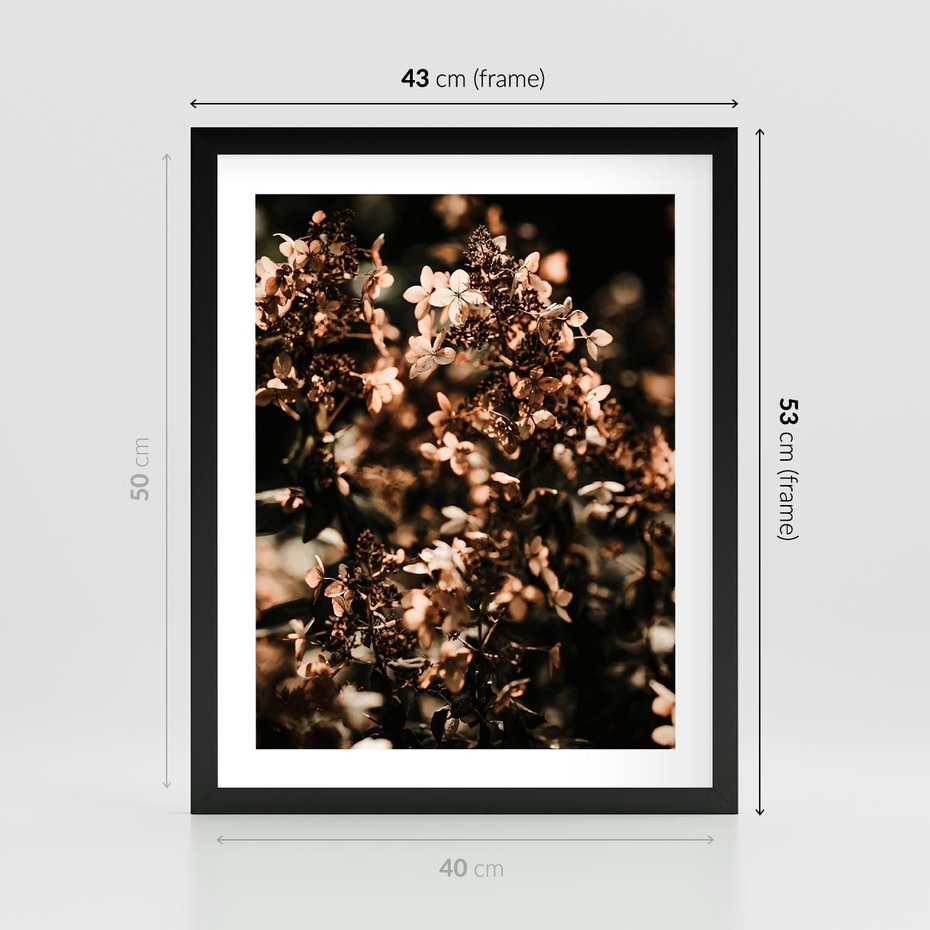 Plakat w ramie 40x50 - Sucha Kompozycja Kwiatów - suche kwiaty hortensji - rama czarna