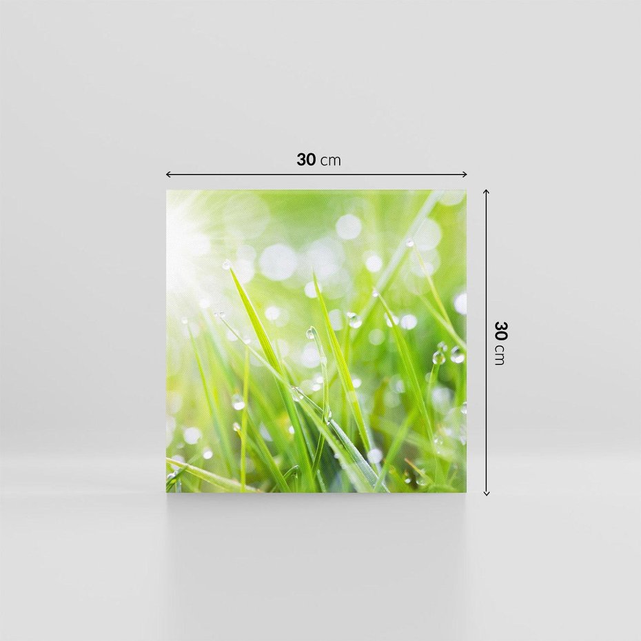 Obraz na płótnie 30x30 - Delikatna trawa pokryta rosą - trawa, rosa
