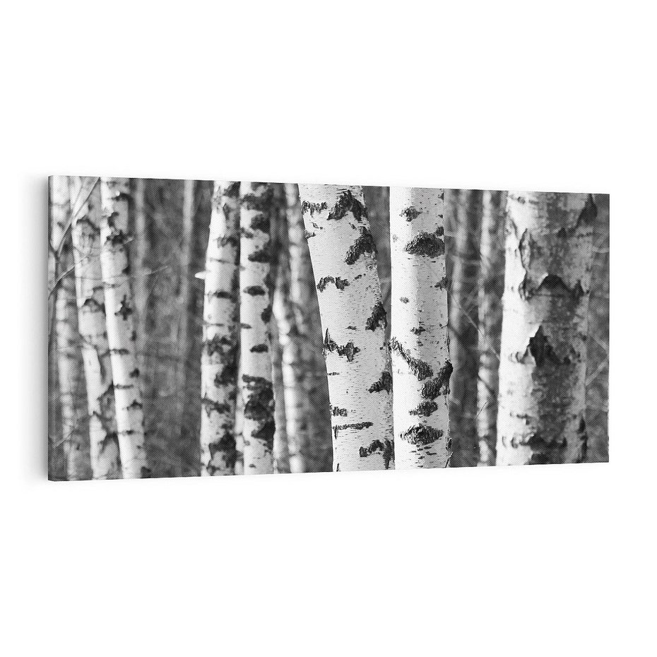Obraz na płótnie 140x70 - Kontrast Monochromatyczny - brzozy, czarno