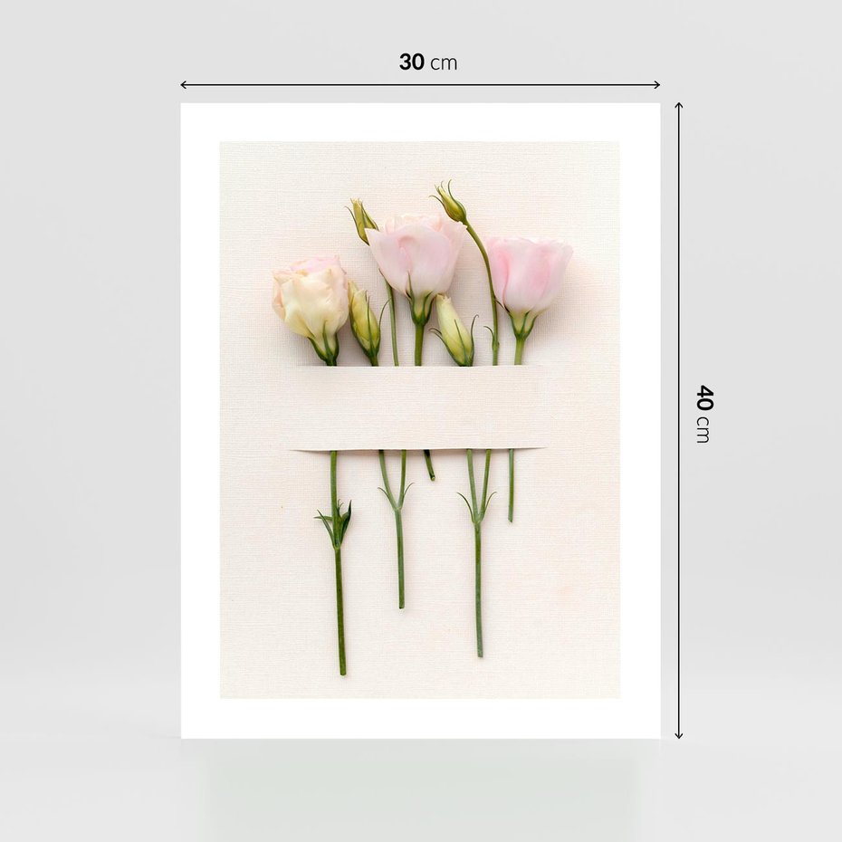 Plakat bez ramy 30x40 - Białe kwiatowe uniesienia - białe, kwiaty