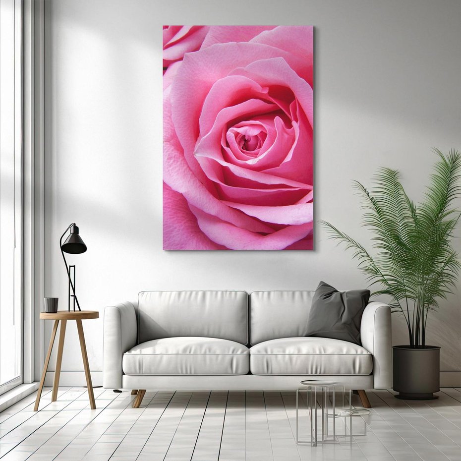Obraz na płótnie 50x70 - Róża Wspaniałości - róża, kwiat