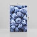 Obraz na płótnie 70x100 - Borówki Leśna Harmonia - borówki, owoce