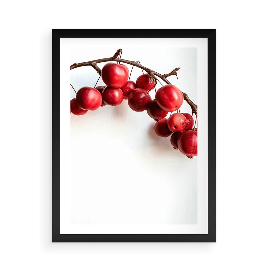 Plakat w ramie 50x70 - Jesienne Owoce - jarzębina, czerwone owoce - rama czarna