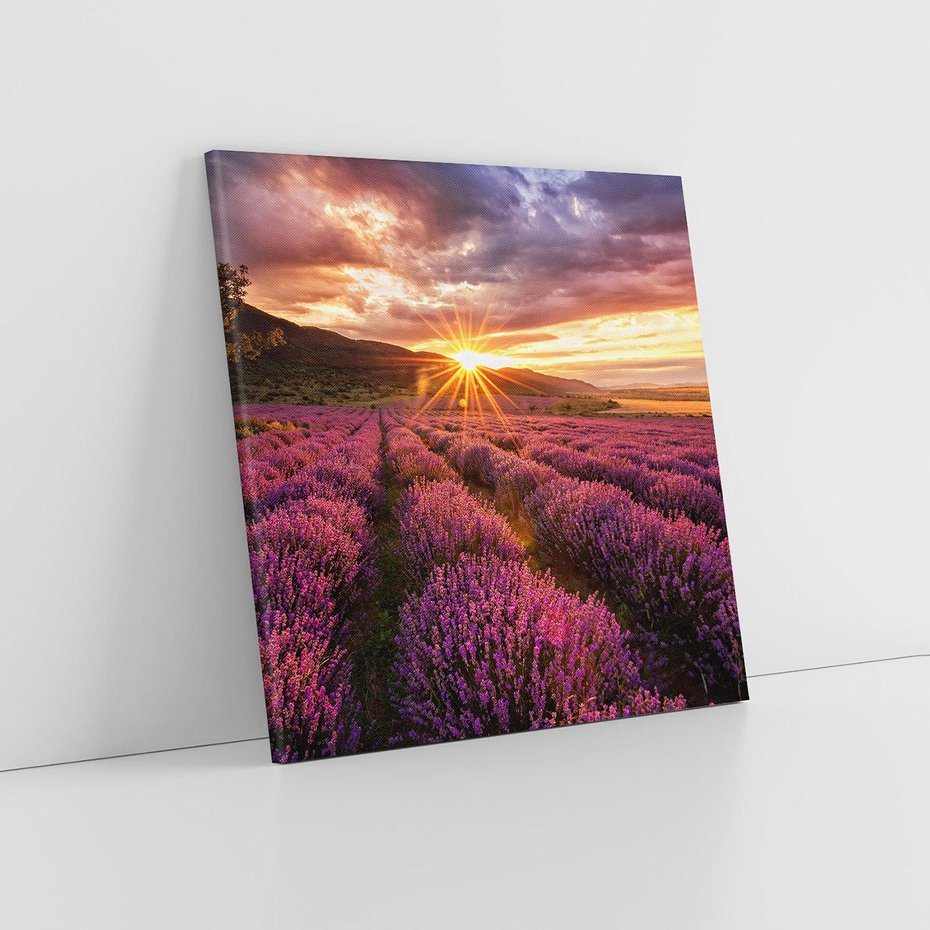 Obraz na płótnie 30x30 - Lawenda: Pachnące pole kwiatów - kwiaty, lawenda