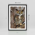 Plakat w ramie 50x70 - Tajemniczy Stróż - sowa, las - rama czarna