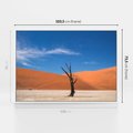 Obraz w ramie 100x70 - Słońce i Suche Drzewo - pustynia, suche - rama biała