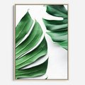 Obraz w ramie 70x100 - Monstera - Liście Kwiaty - monstera, liście - rama drewno