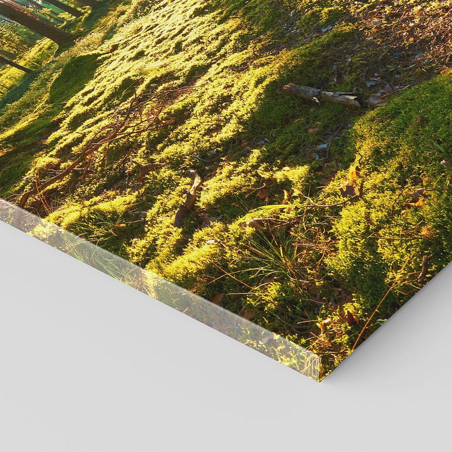 Obraz na płótnie 70x100 - Obfitość natury - las, drzewa