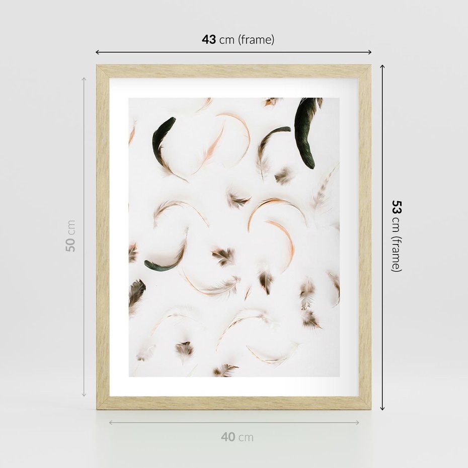 Plakat w ramie 40x50 - Kompozycja z Piór - pióra, kompozycja - rama drewno