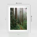 Plakat w ramie 40x50 - Mgliste Marzenia - artystyczna fotografia, las - rama biała