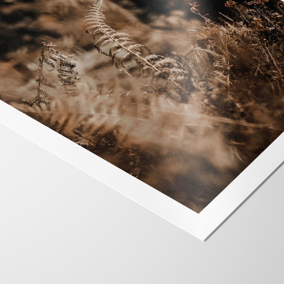 Plakat bez ramy 21x30 - Delikatne Detale - paprocie, brąz