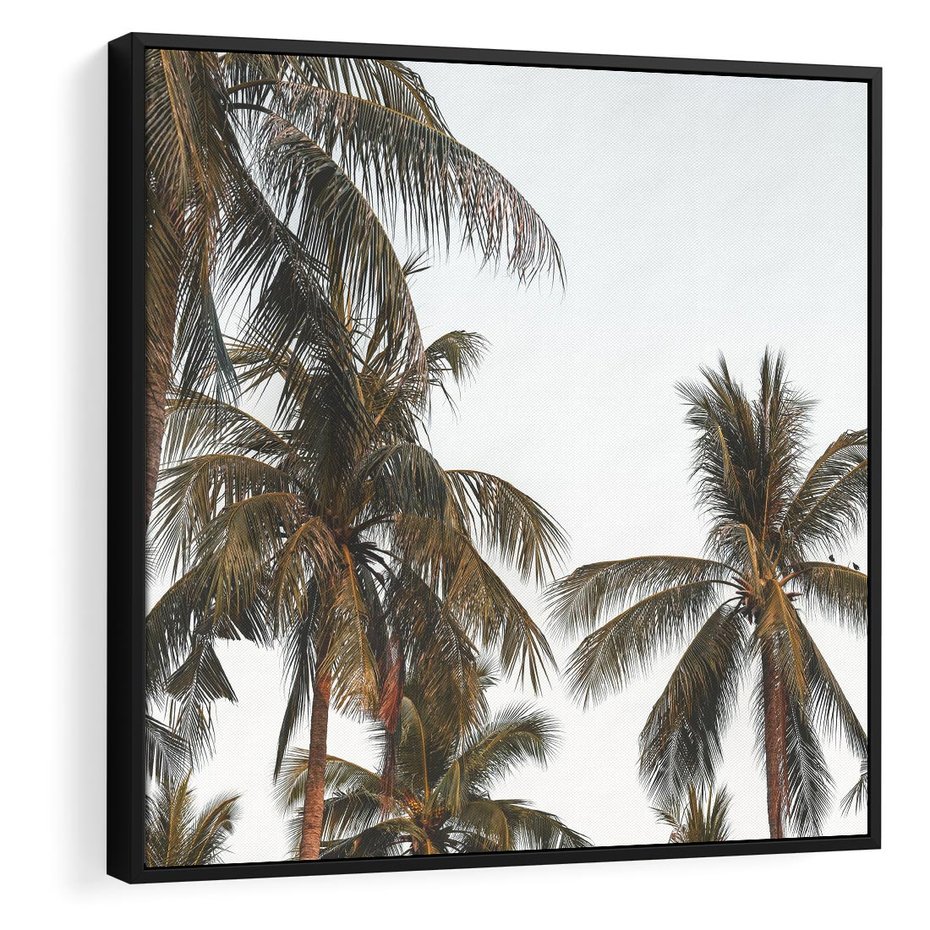 Obraz w ramie 50x50 - Palmy - tęsknota za Hawajami - palmy, Hawaje - rama czarna