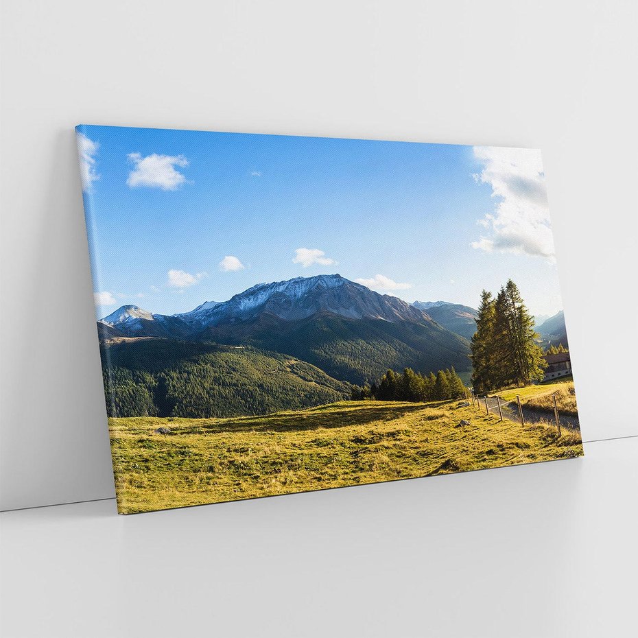 Obraz na płótnie 100x70 - Górski pejzaż: łąka i szczyty - góry, łąka