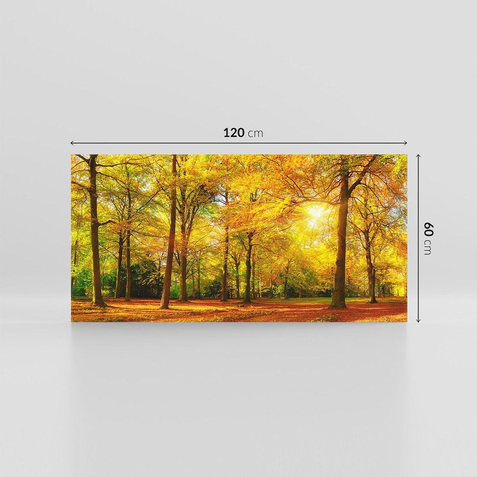 Obraz na płótnie 120x60 - Urok jesiennego lasu - las, drzewa