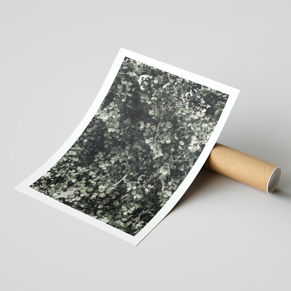 Plakat bez ramy 50x70 - Jasnozielone Liście i Gałązki - liście, gałązki