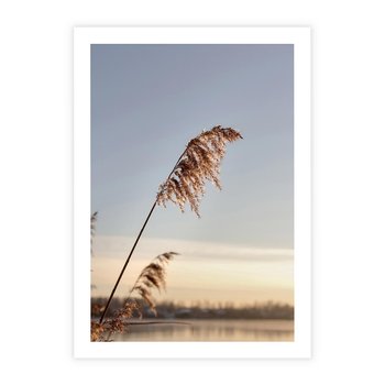 Plakat bez ramy 50x70 - Naturalna Delikatność - trawy, boho