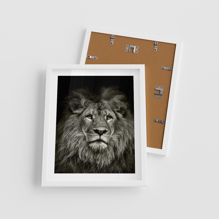 Plakat w ramie 40x50 - Moc lewego spojrzenia - lew, czarno - rama biała