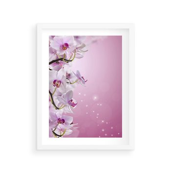 Plakat w ramie 30x40 - Relaksujące Piękno - kwiaty, orchidea - rama biała