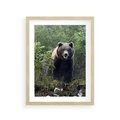 Plakat w ramie 30x40 - Spotkanie z Niedźwiedziem w Lesie - niedźwiedź, las - rama drewno
