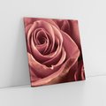 Obraz na płótnie 50x50 - Romantyczna Róż - róża, kwiat